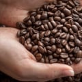 What is the Most Delicious Coffee Bean?