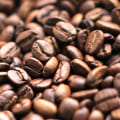 What are the Different Types of Coffee Beans?